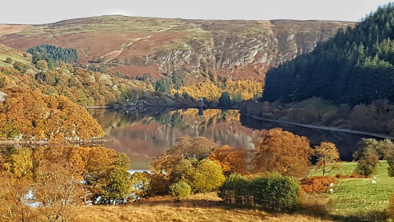 Events, Activities & Great Reasons to visit Mid Wales this Autumn