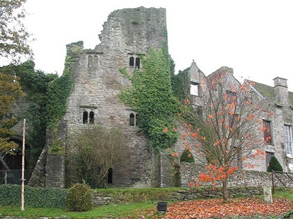 ruined tower surrounded by greenery and trees