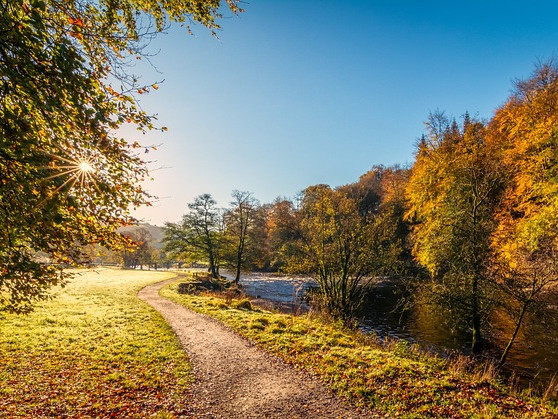 river-wharfe-g2f28f3a9e_640