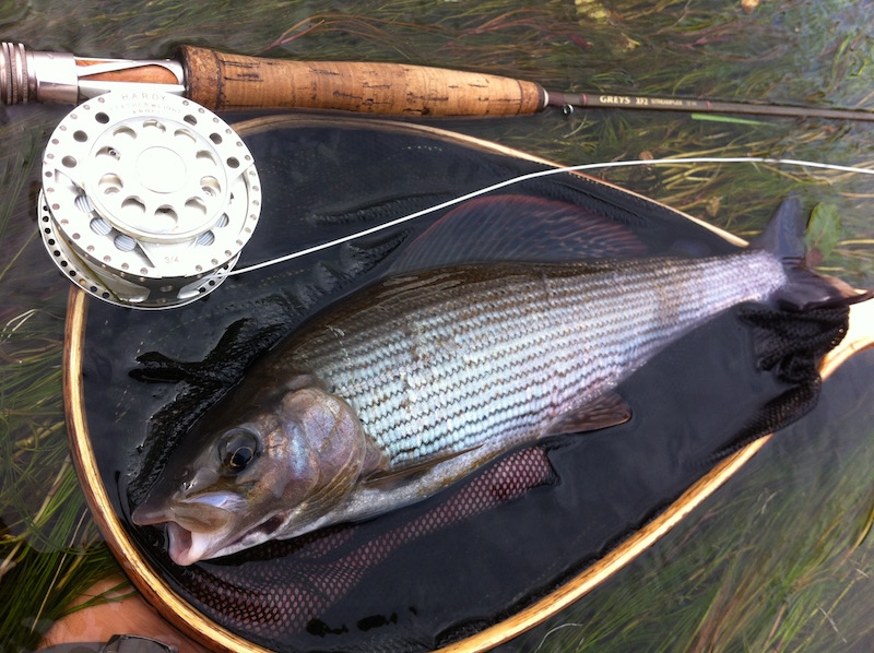 autumn grayling fly fishing river Irfon wales