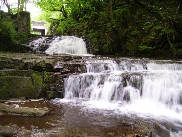 4 of the Top Nature Reserves and Wildlife Attractions in Mid Wales