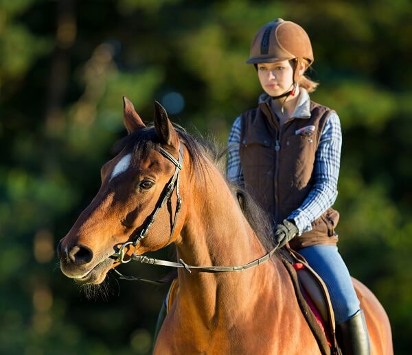 Horse riding pony trekking powys brecon bid wales